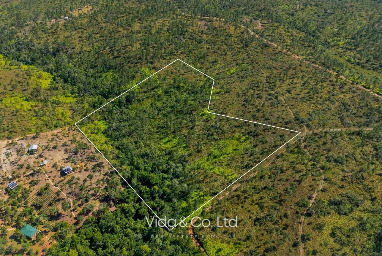 7.5 Acres Mountain Pine Ridge