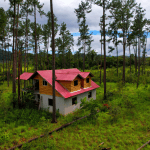 Belize fixer upper homes for sale