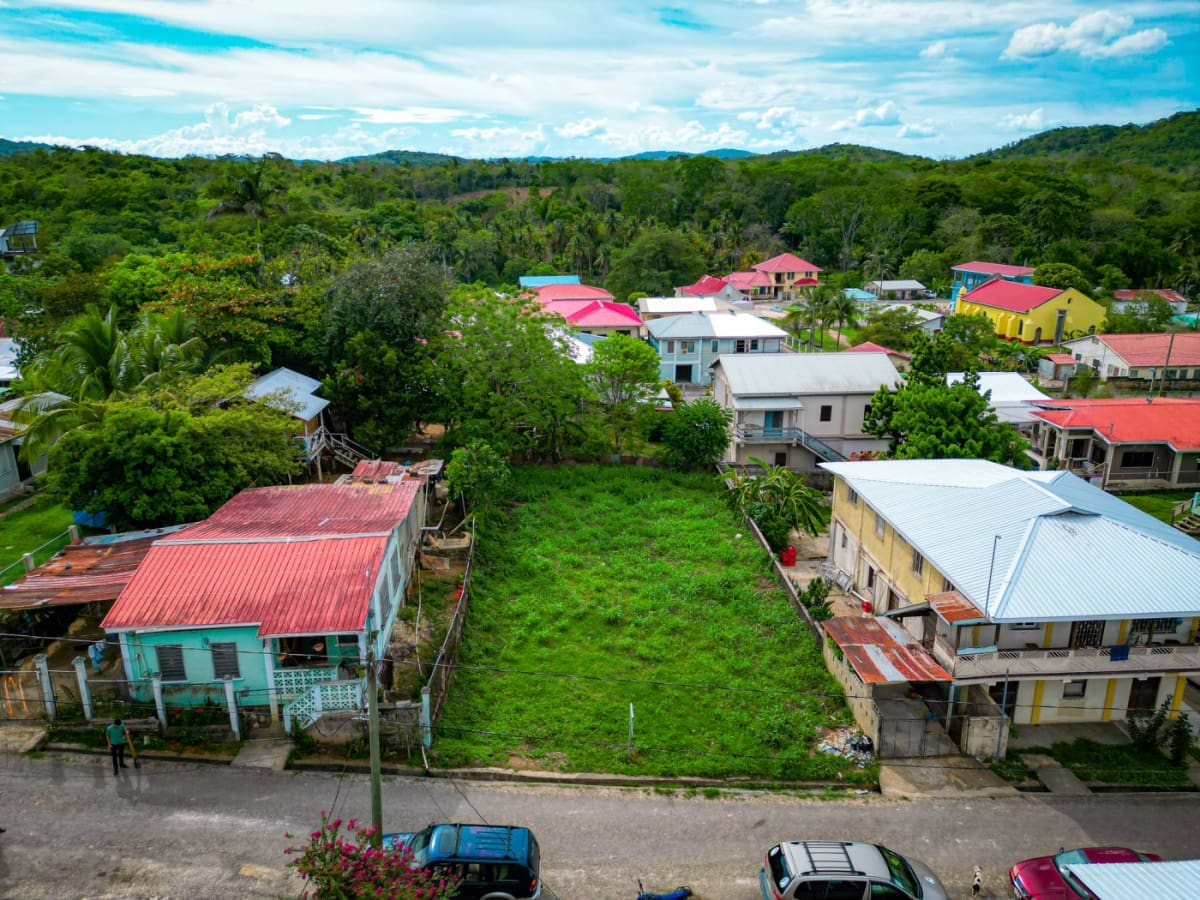 property for sale in benque viejo