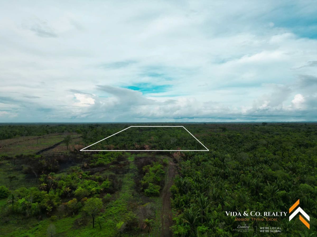 Land for Sale in Mount Pleasant