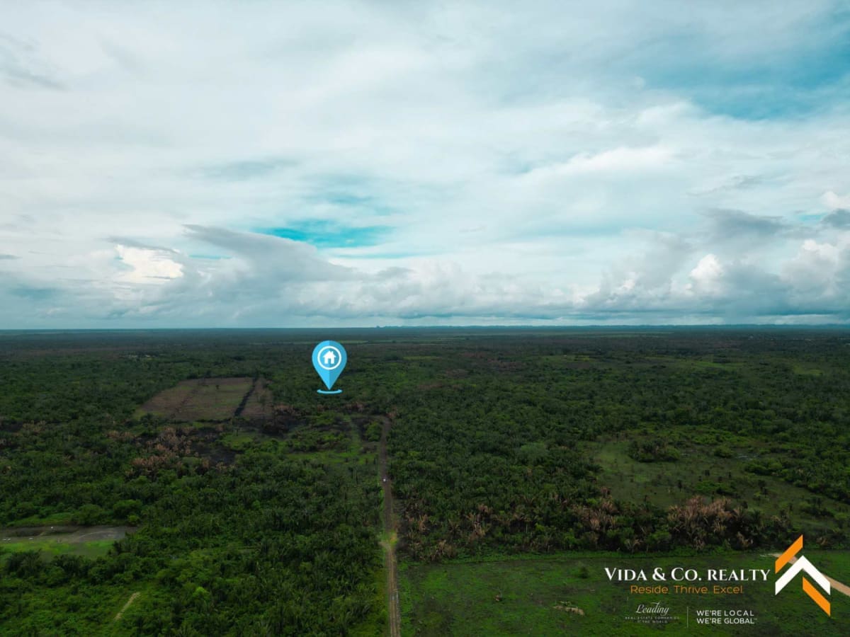 Land for Sale in Mount Pleasant