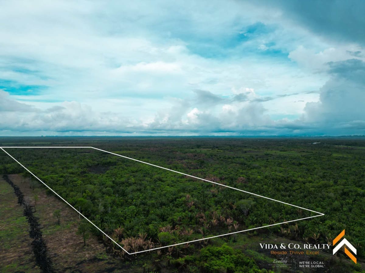 Land for Sale in Mount Pleasant