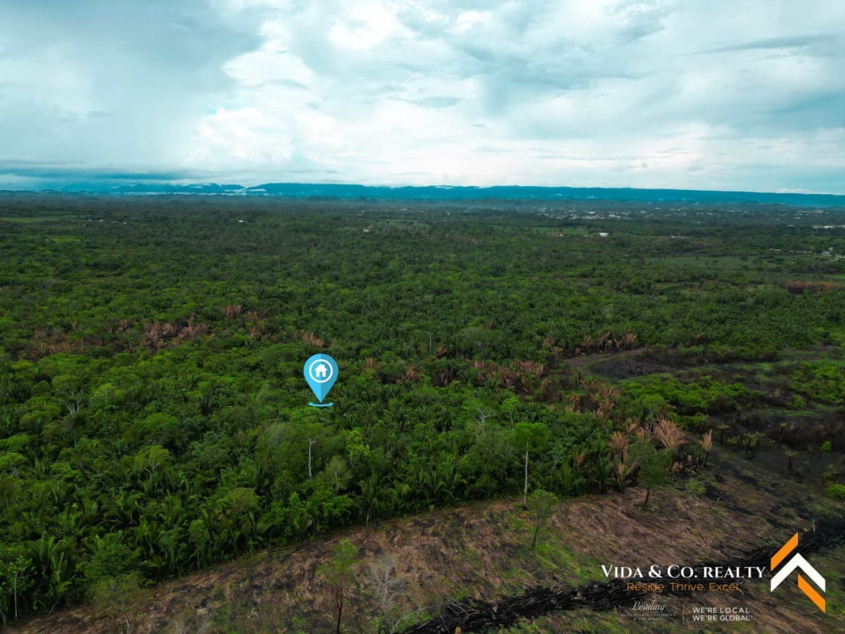 Land for Sale in Mount Pleasant