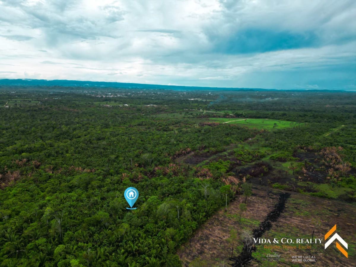 Land for Sale in Mount Pleasant