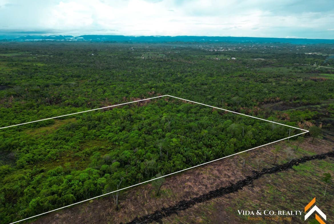 Land for Sale in Mount Pleasant