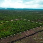 Land for Sale in Mount Pleasant