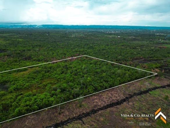 Land for Sale in Mount Pleasant