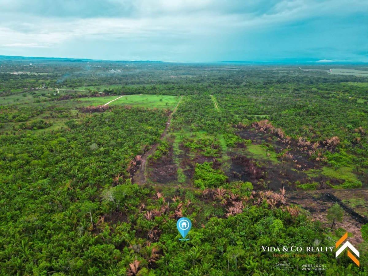 Land for Sale in Mount Pleasant
