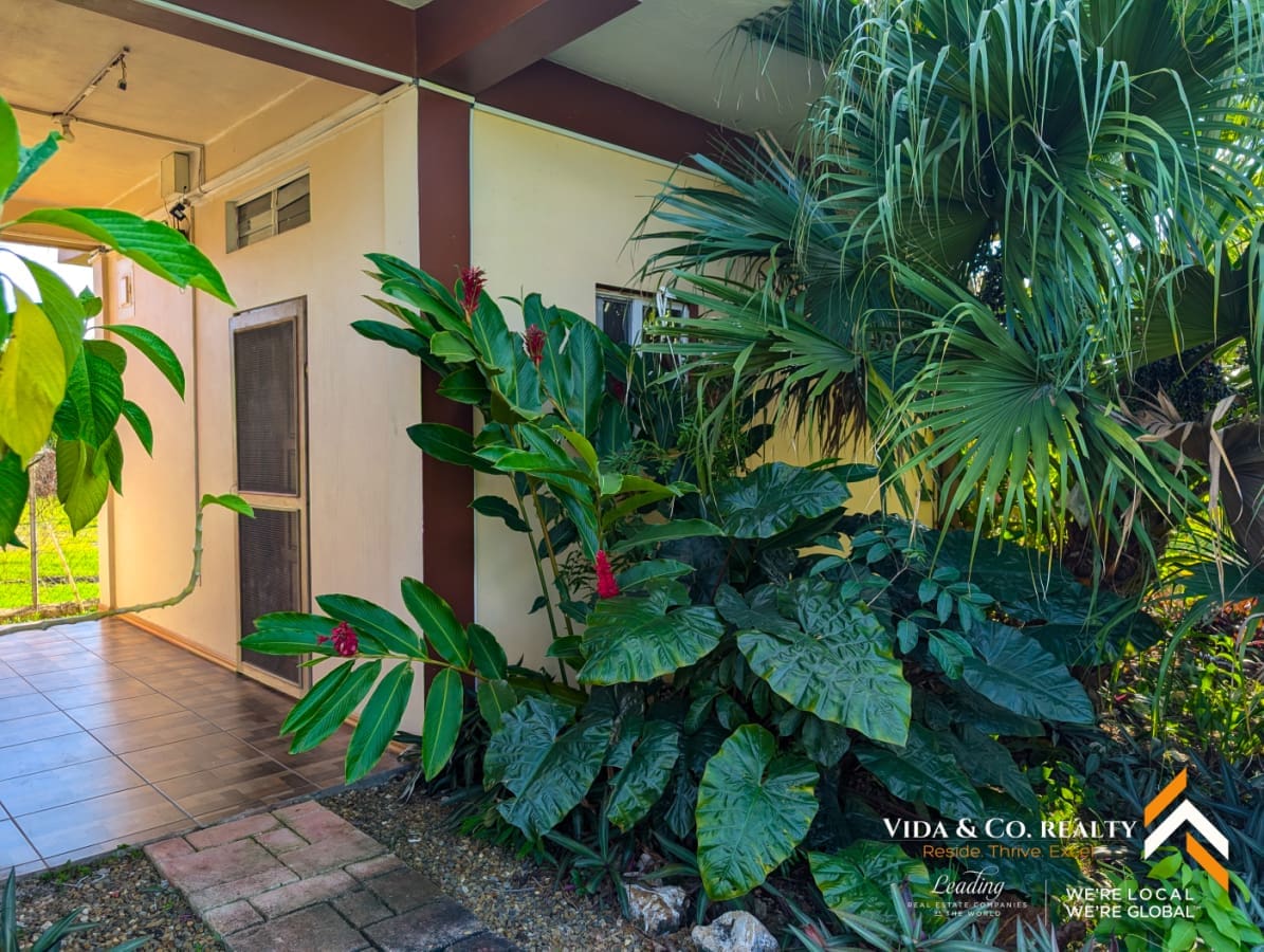 Belize Real Estate For Sale (22) Income-Generating Rental Property near University of Belize for Sale