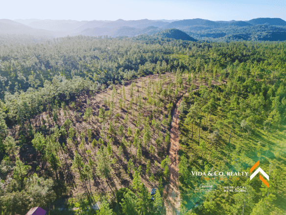 mountain pine ridge land for sale