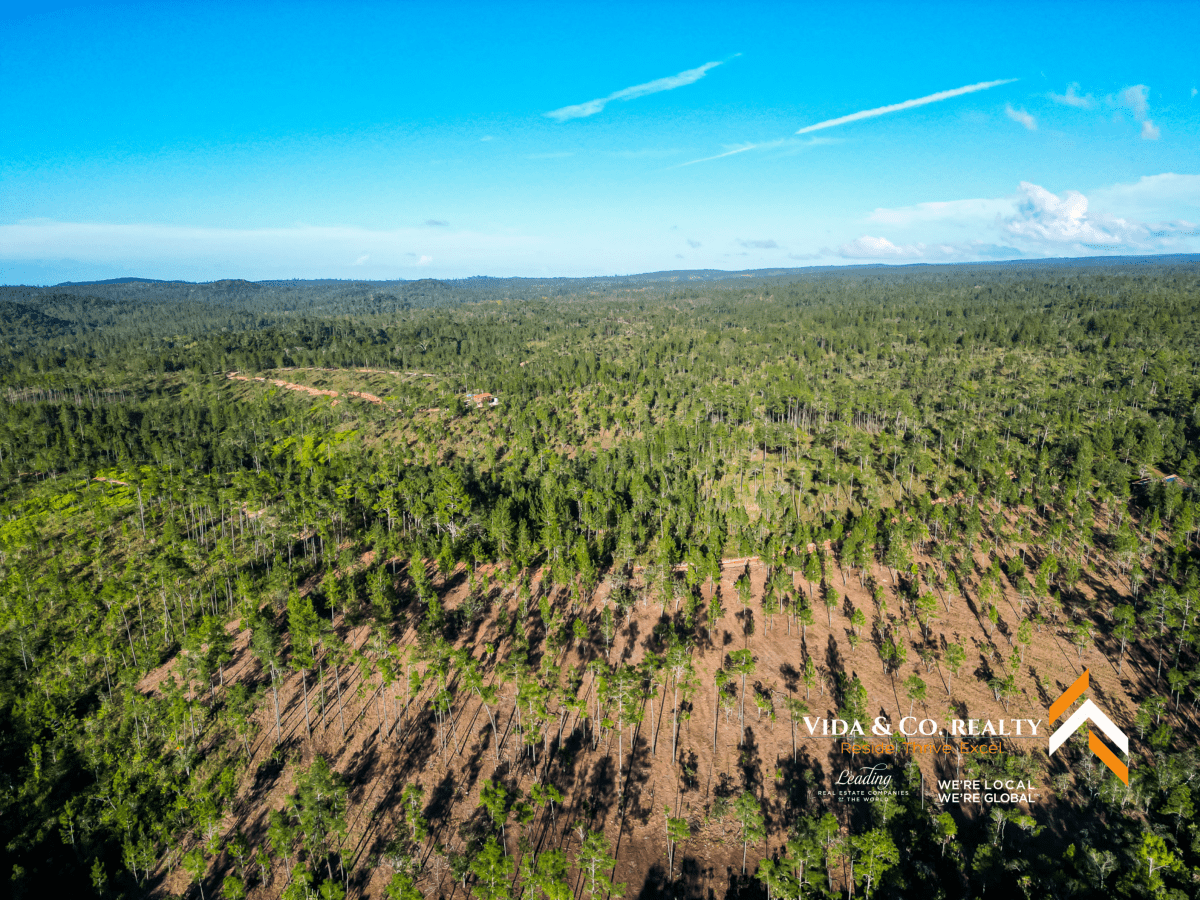 mountain pine ridge land for sale