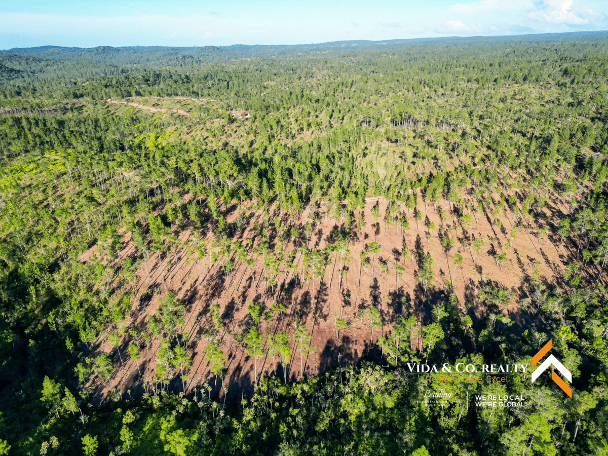 mountain pine ridge land for sale