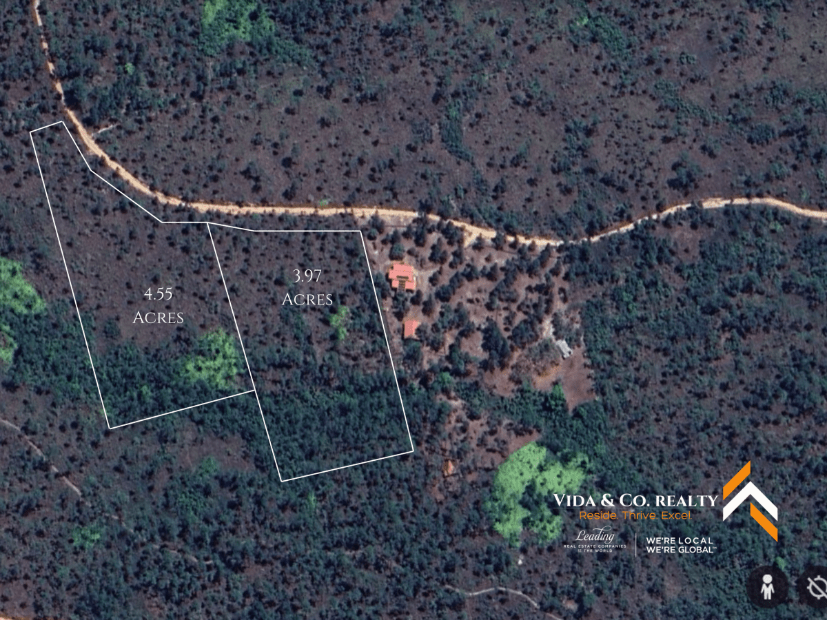 mountain pine ridge land for sale