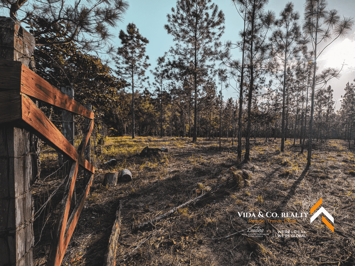 mountain pine ridge land for sale