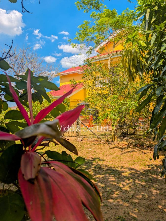 Fruits in Home for Sale in San Ignacio