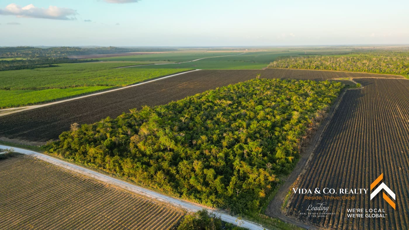 Farm Land in Belize