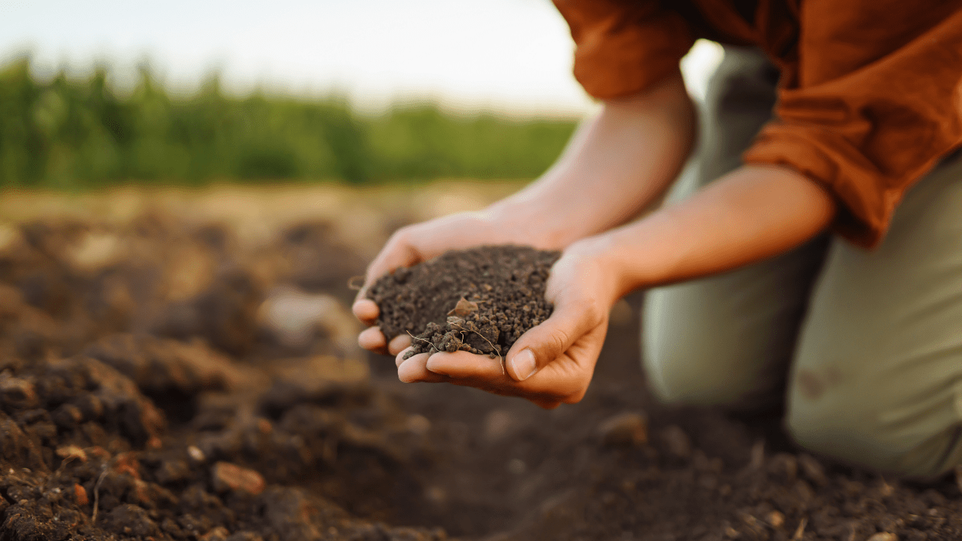 Eco-Friendly Developments