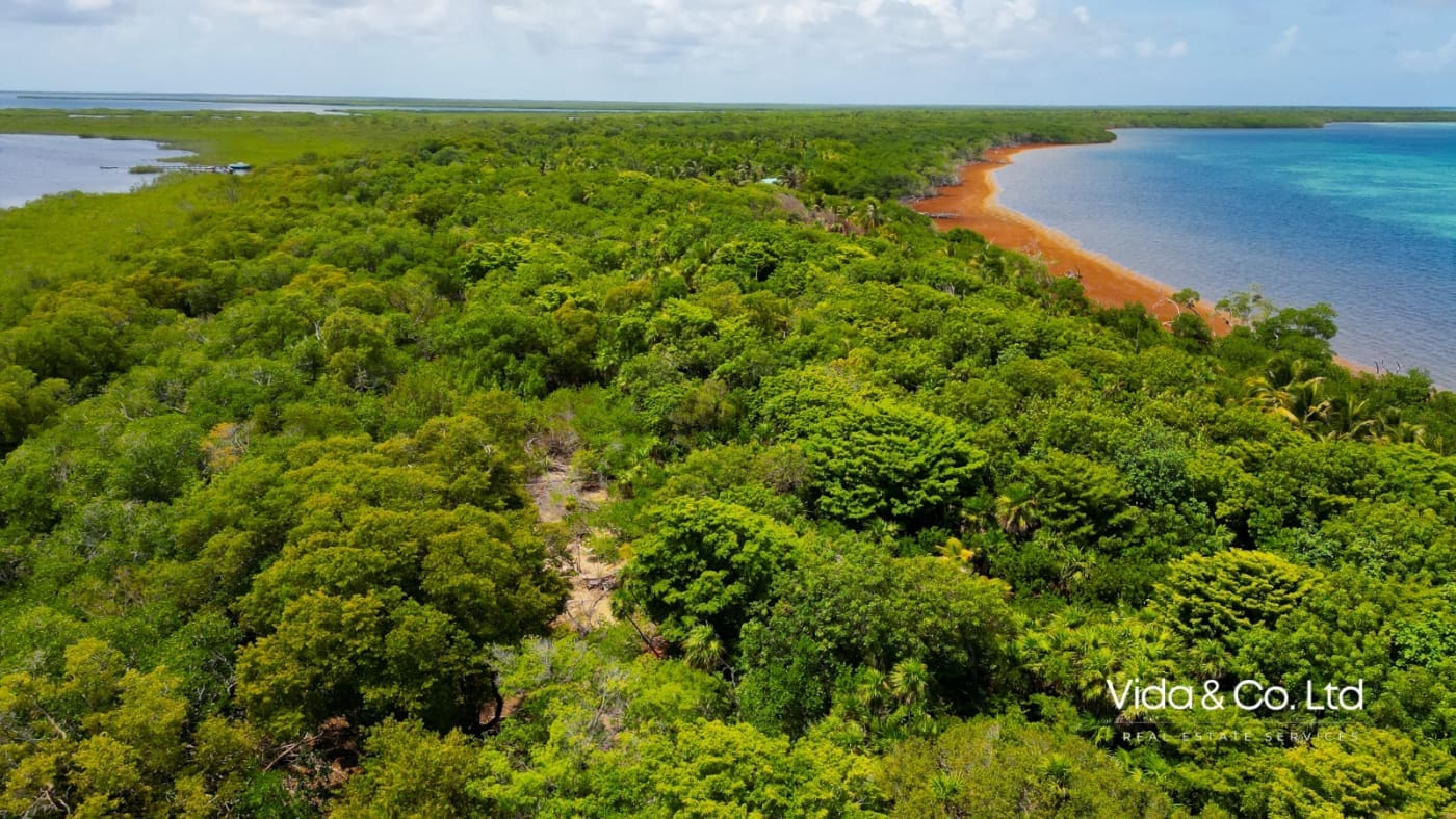 Belize Island for Sale