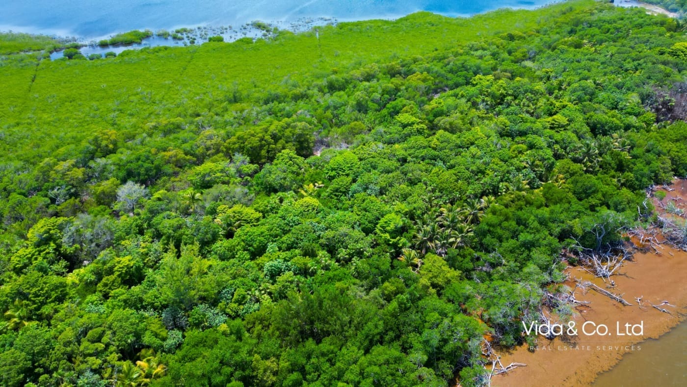 Belize Island for Sale