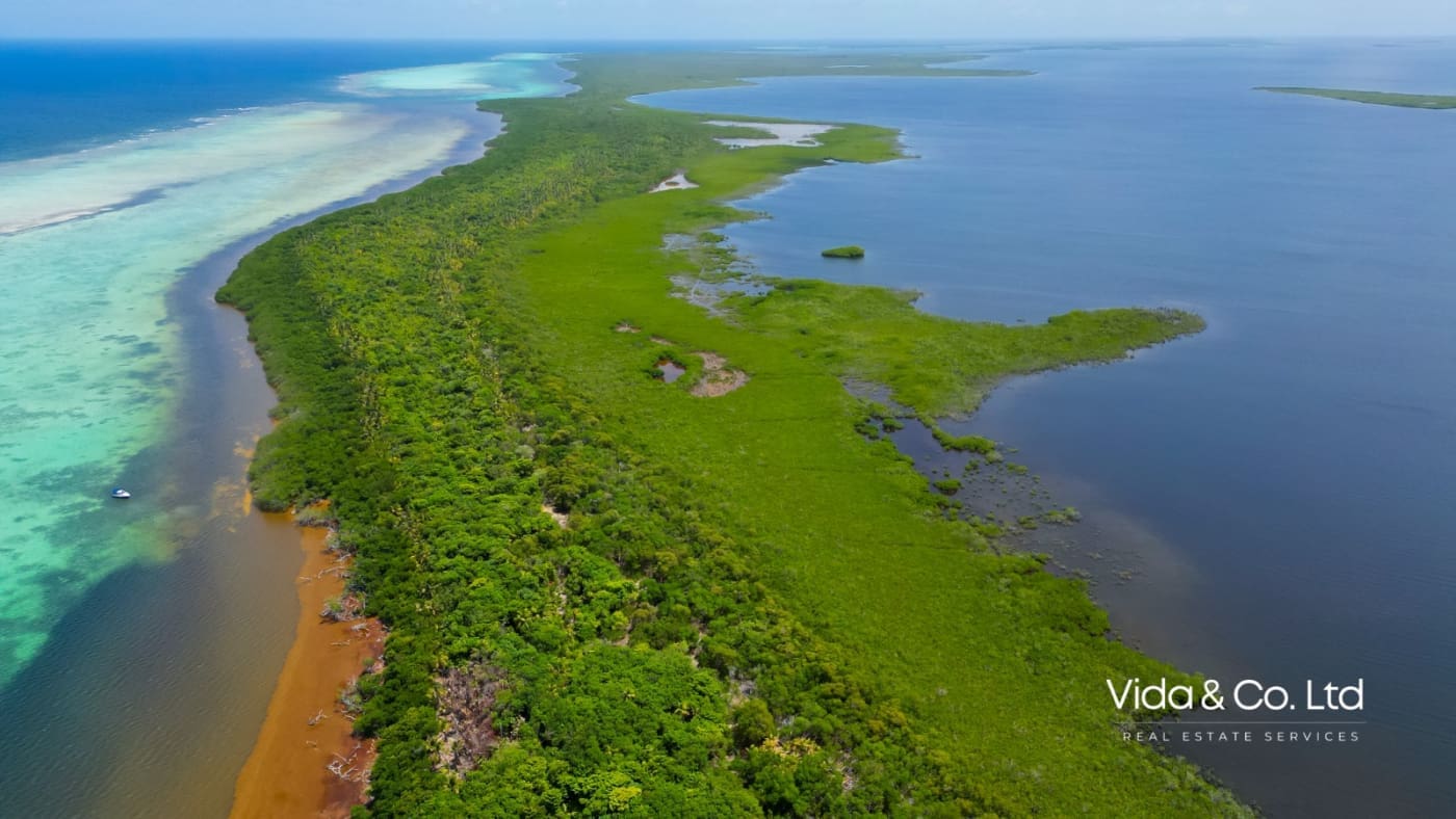 Turneffe Island Belize for Sale (9)