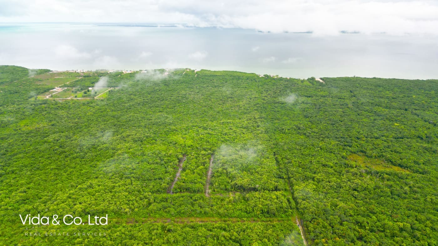 Consejo Road, Lot for Sale in Corozal