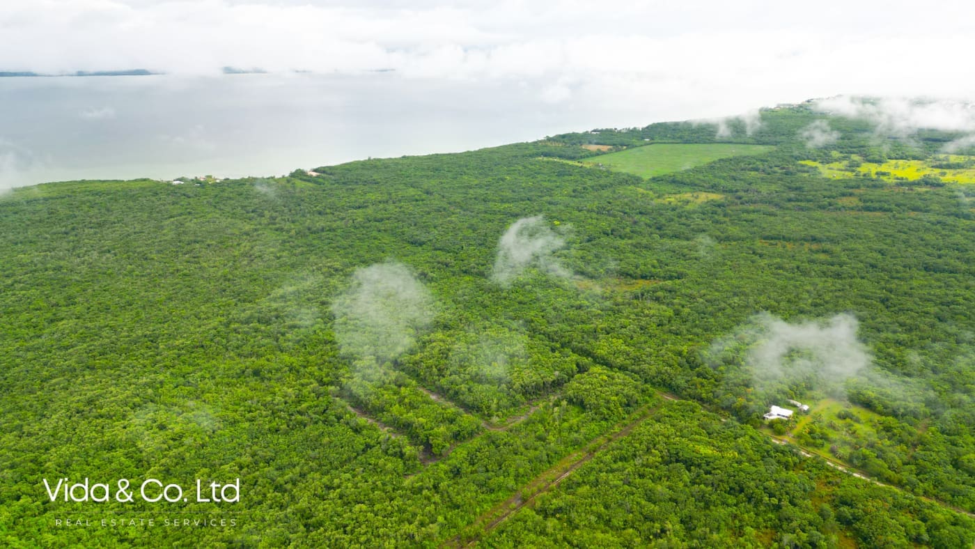 This quarter acre lot on Consejo Road