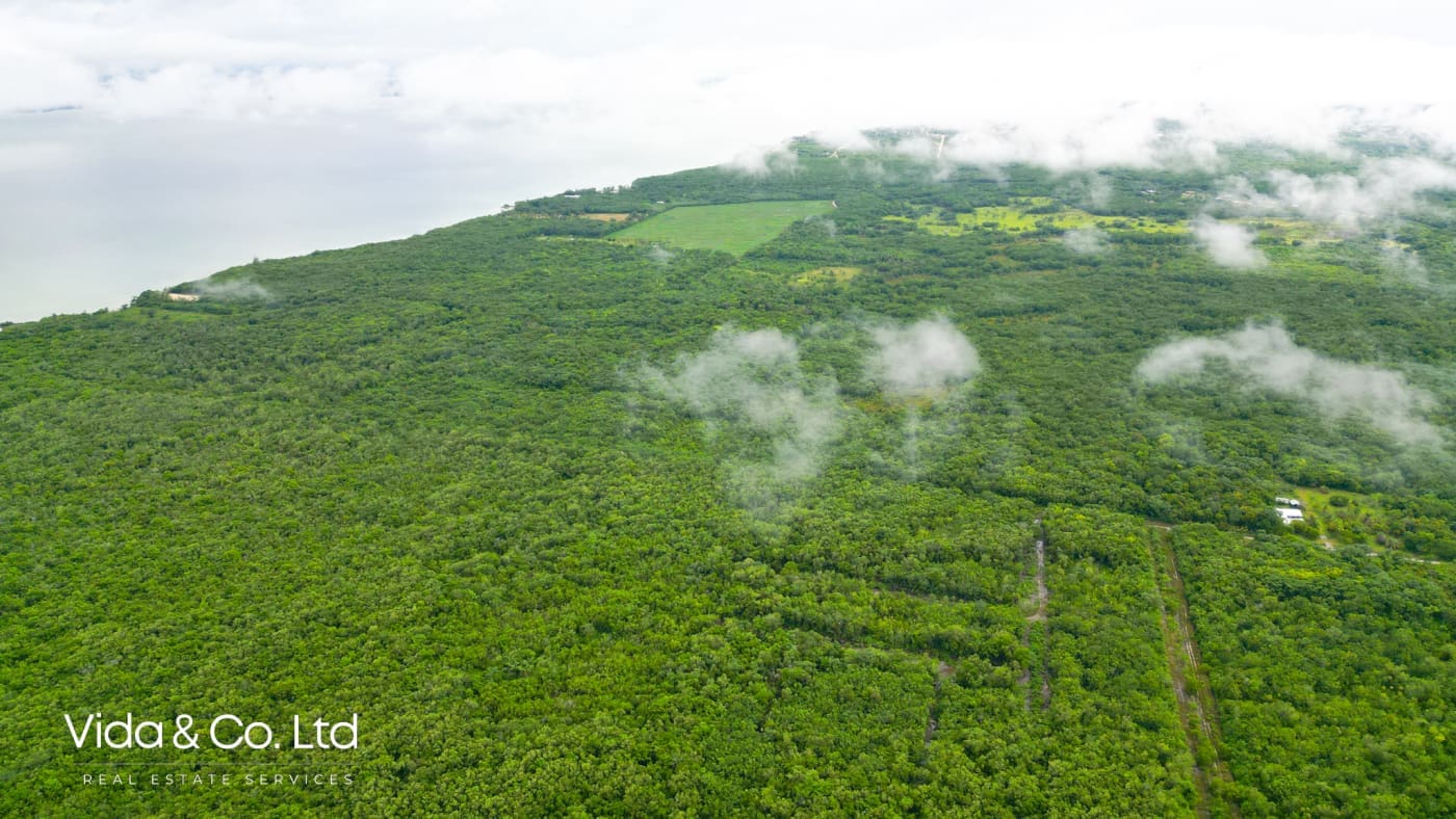 Consejo Road, Lot for Sale in Corozal