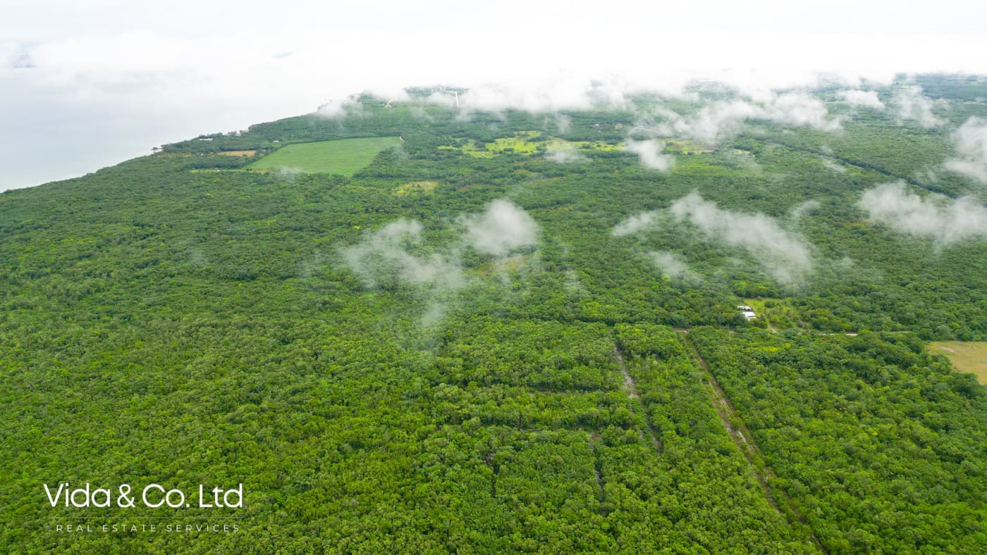 Consejo Road, Lot for Sale in Corozal