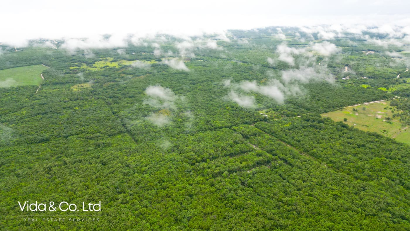 Consejo Road, Lot for Sale in Corozal