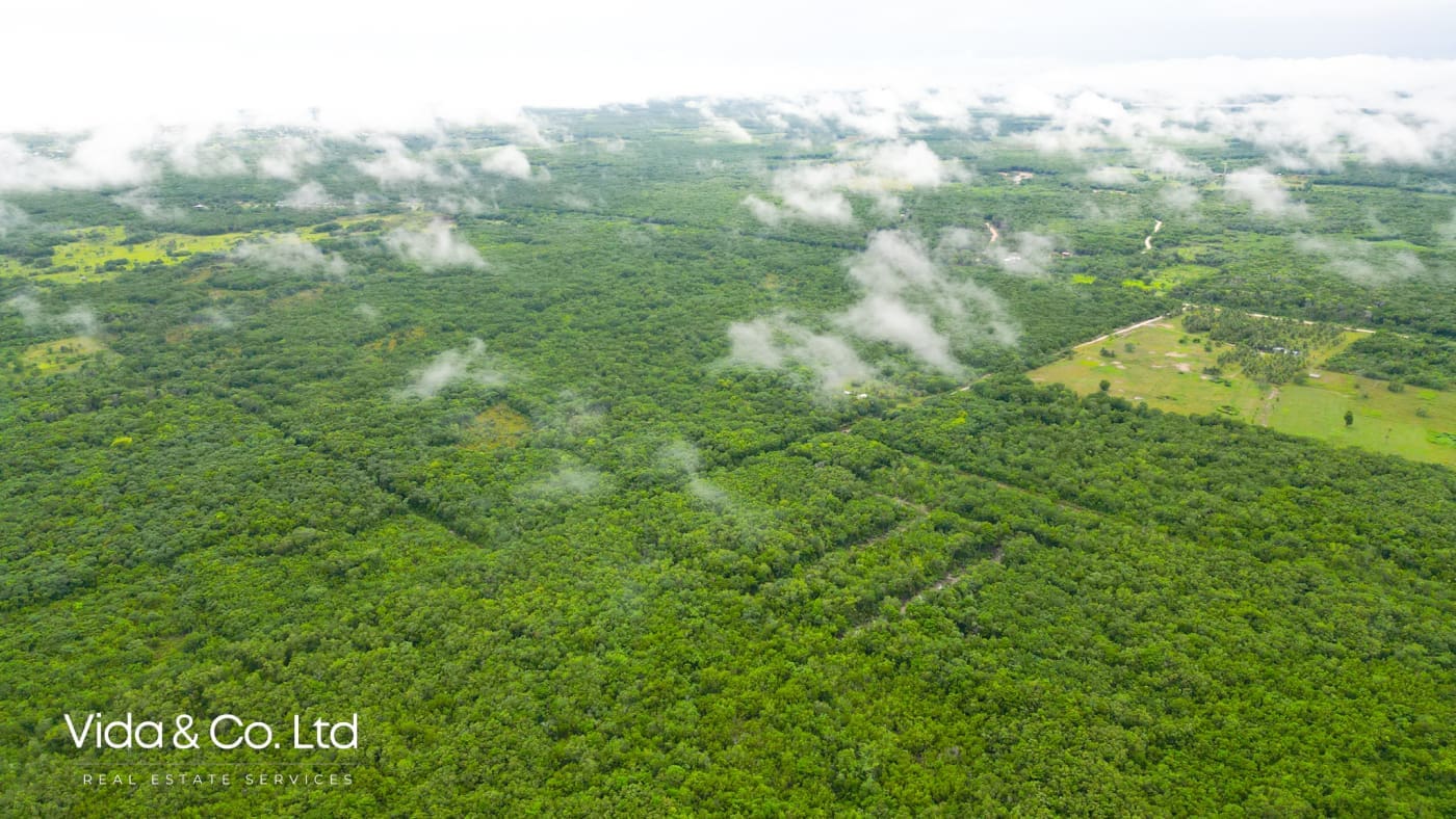 Consejo Road, Lot for Sale in Corozal