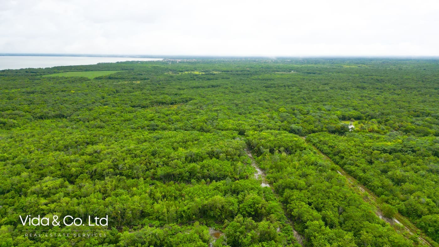 Consejo Road, Lot for Sale in Corozal