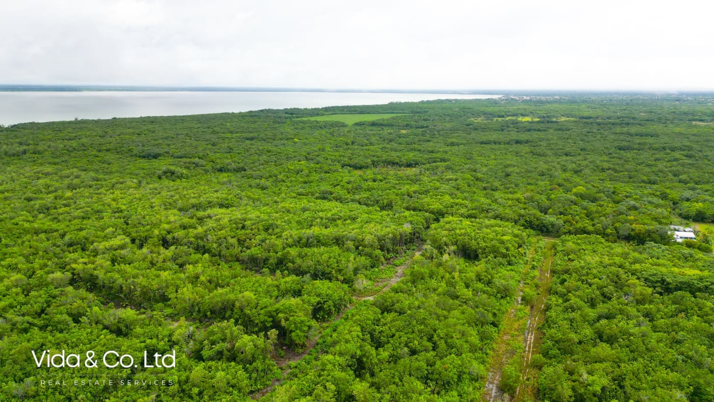 corozal-real-estate-for-sale