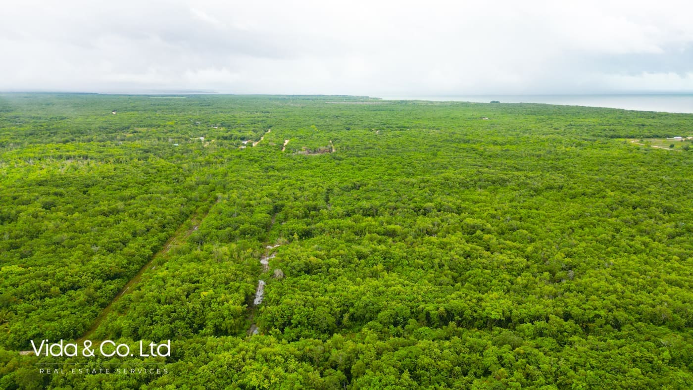 Consejo Road, Lot for Sale in Corozal