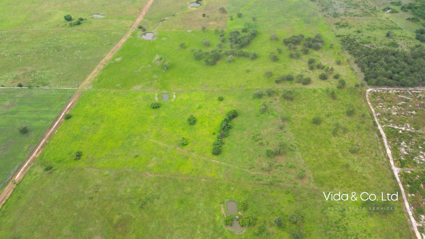 Orange Walk Farm Land for Sale