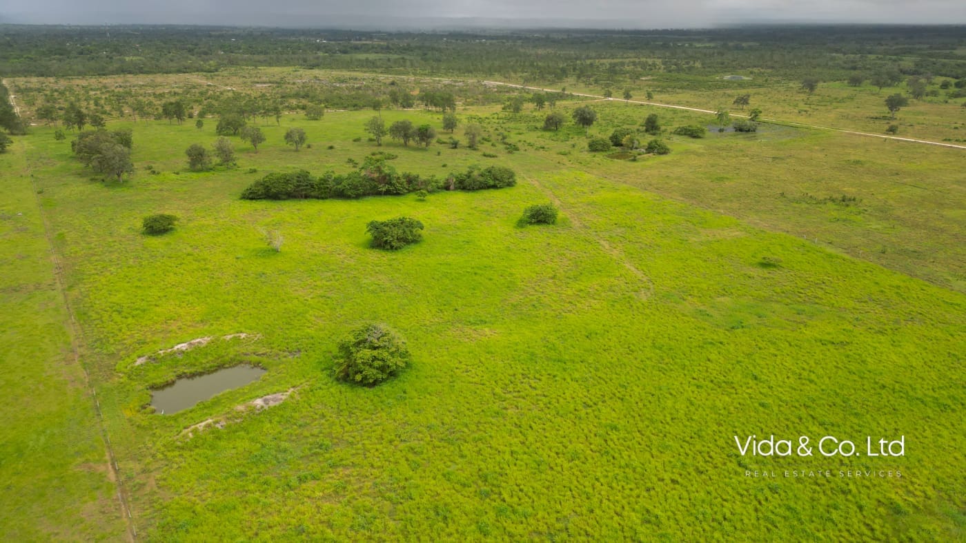 Orange Walk Farm Land for Sale