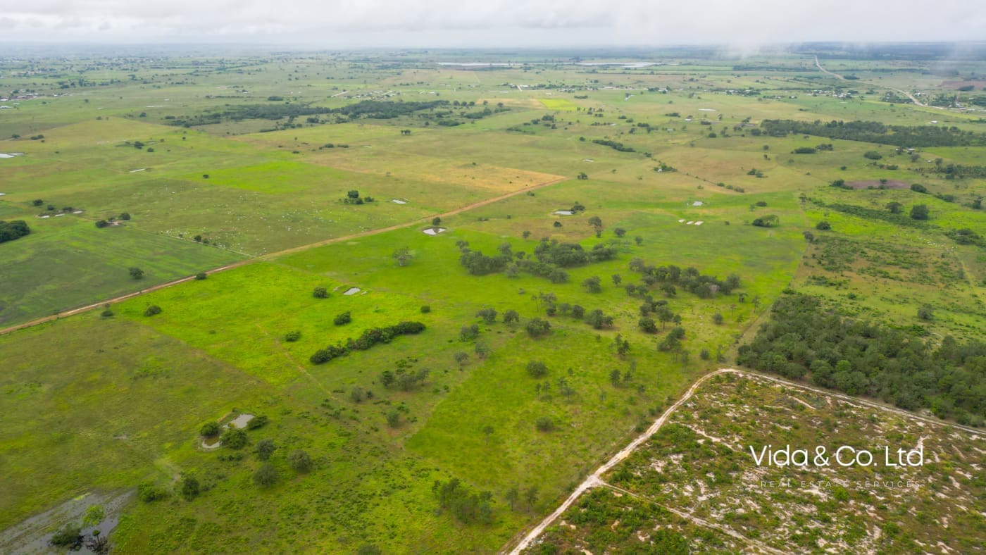 Orange Walk Farm Land for Sale