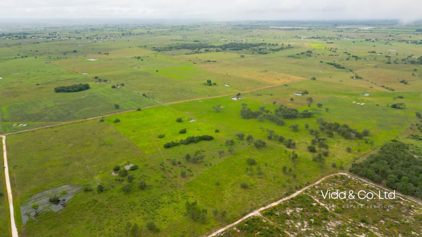 Orange Walk Farm Land for Sale