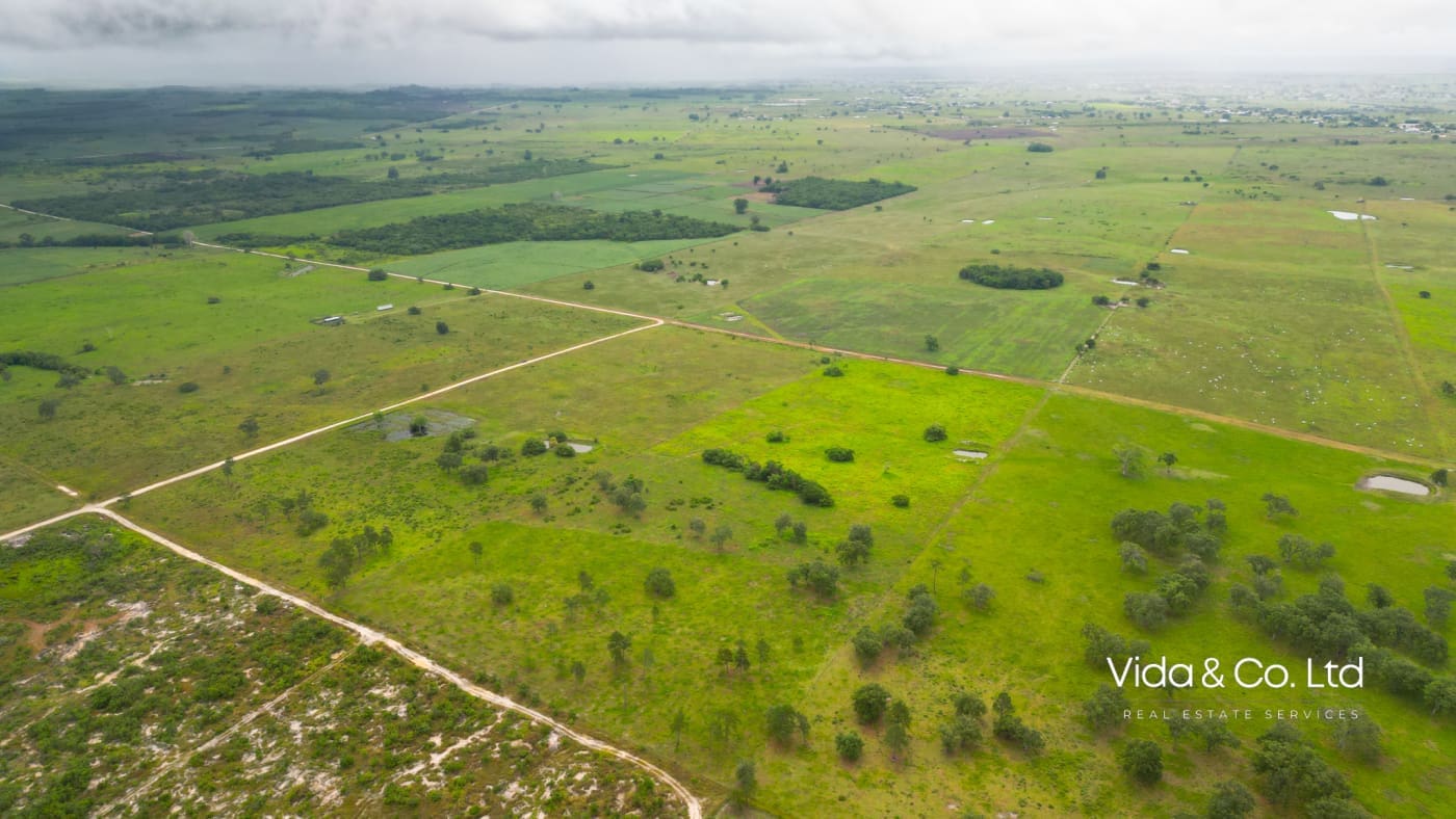 Orange Walk Farm Land for Sale