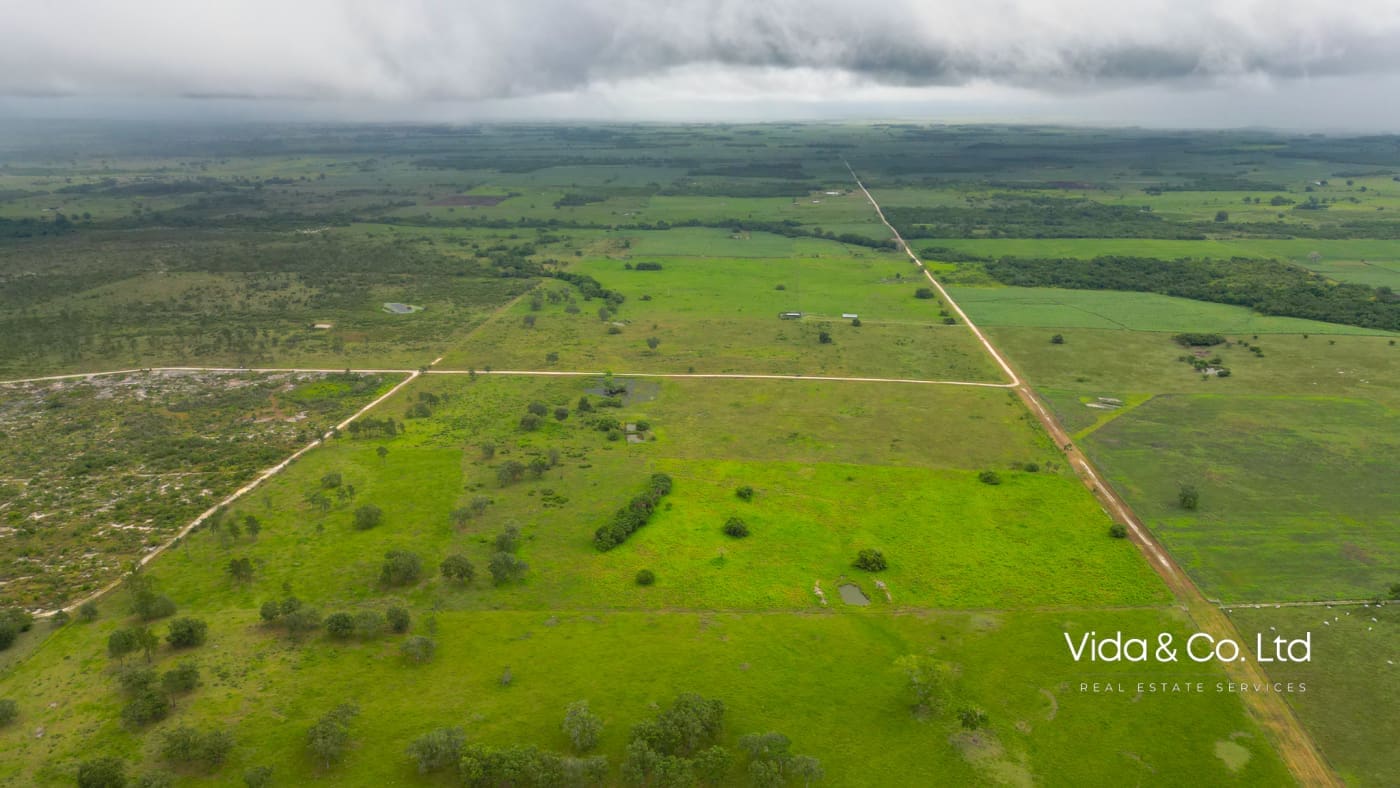 Orange Walk Farm Land for Sale