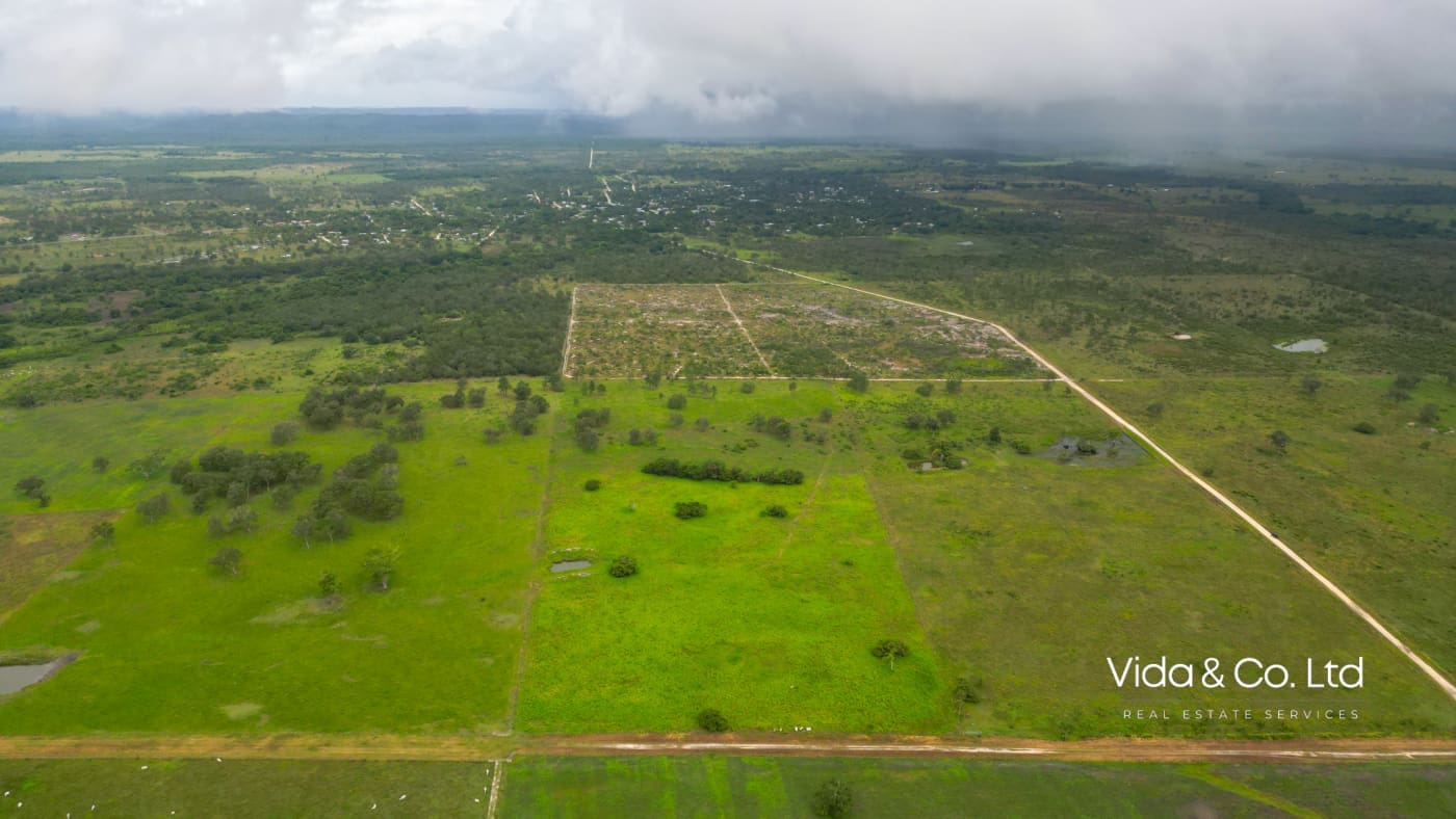 Orange Walk Farm Land for Sale