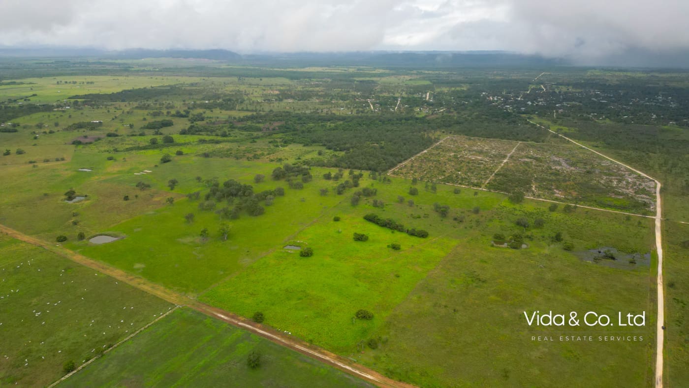 Orange Walk Farm Land for Sale