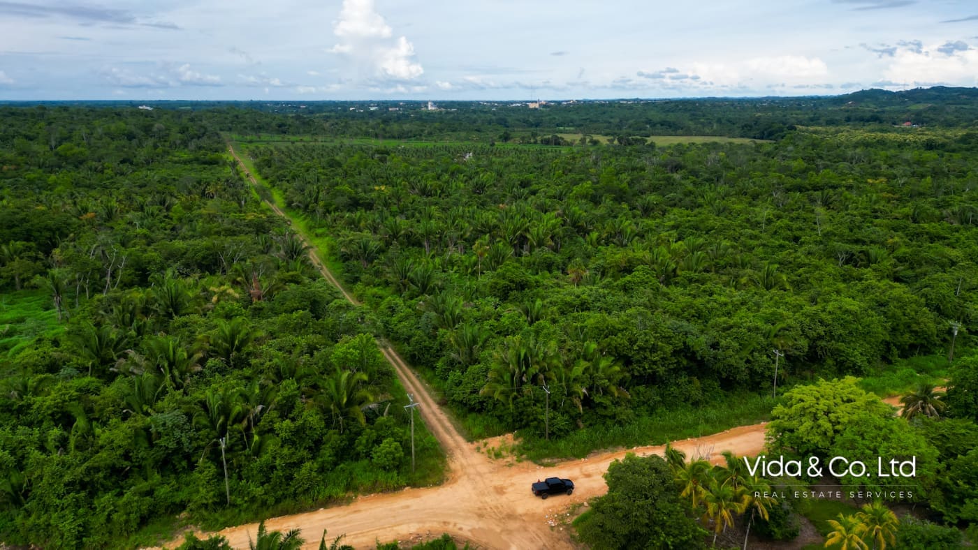 20 Acre Belmopan Farm for Sale