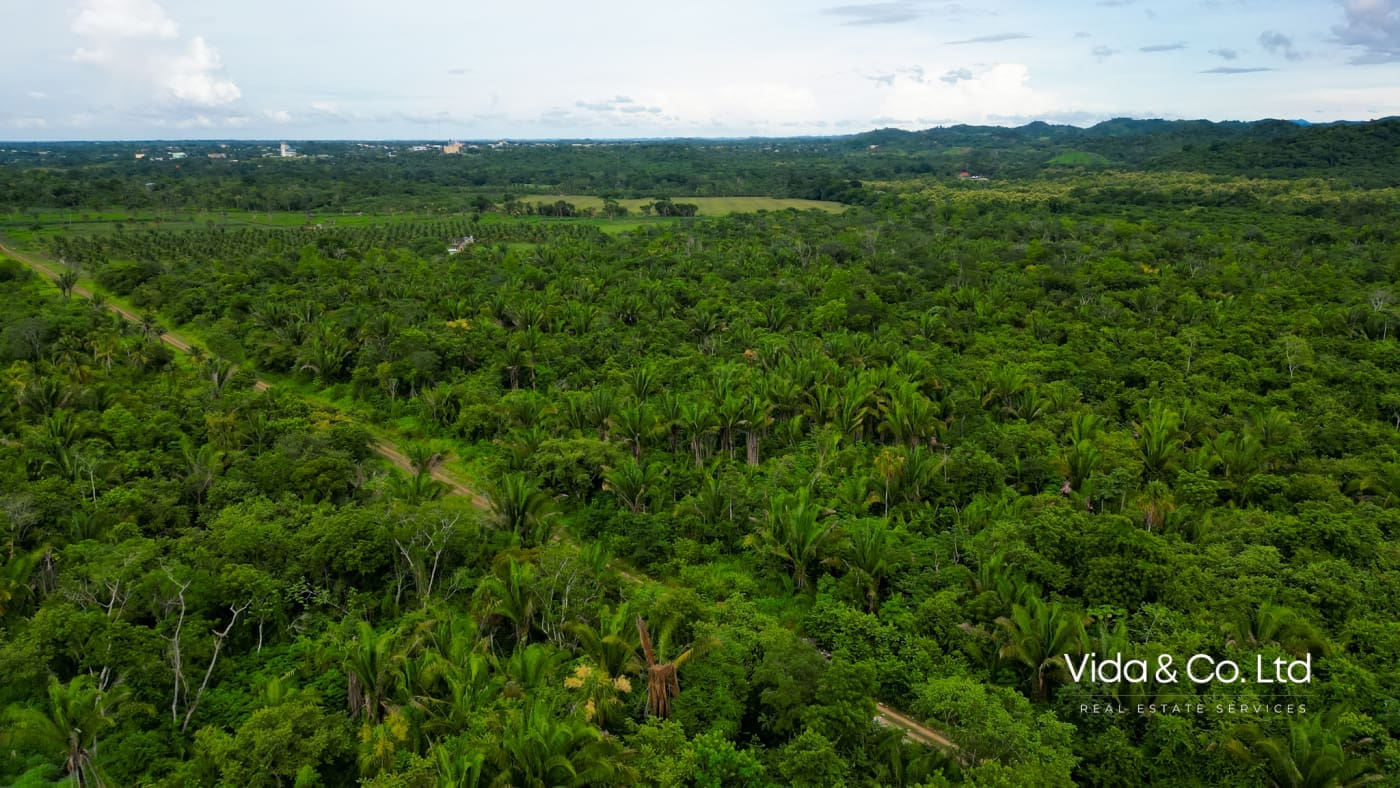 20 Acre Belmopan Farm for Sale