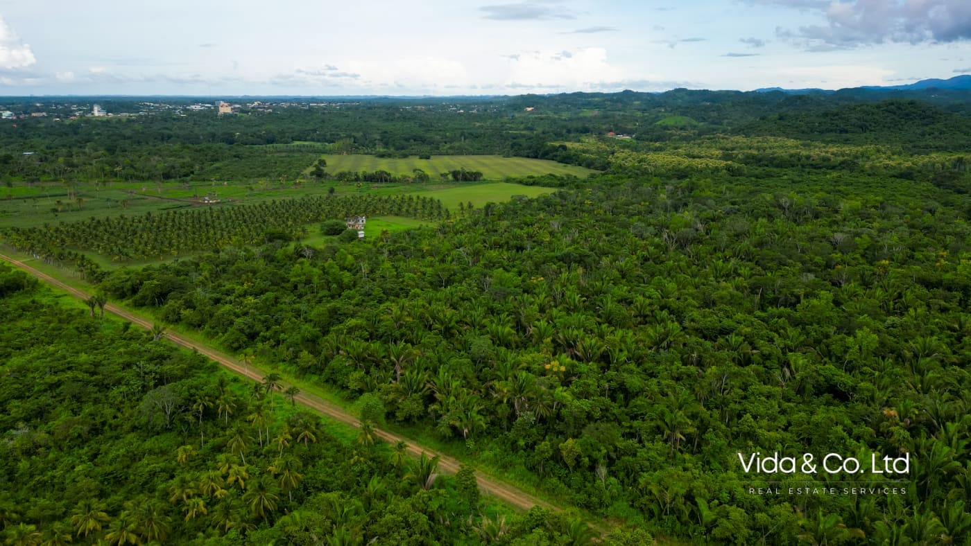 20 Acre Belmopan Farm for Sale