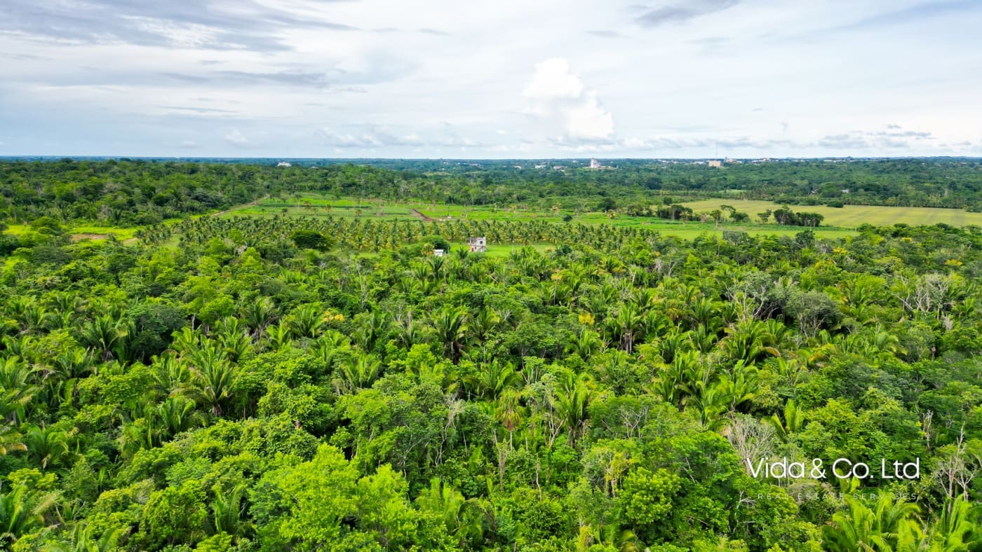 20 Acre Belmopan Farm for Sale