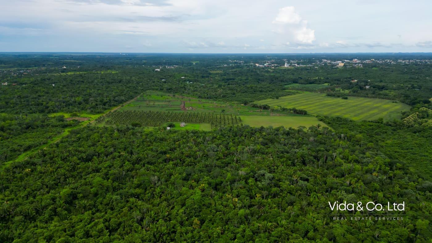 20 Acre Belmopan Farm for Sale