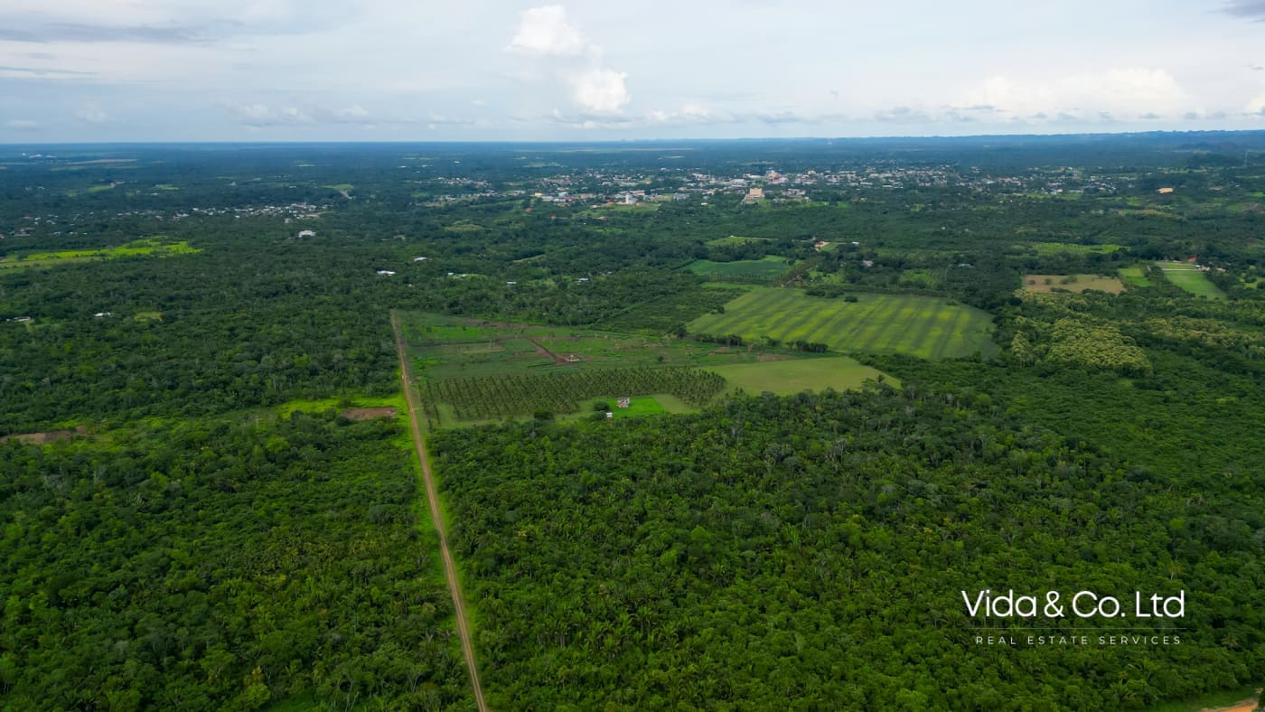 20 Acre Belmopan Farm for Sale