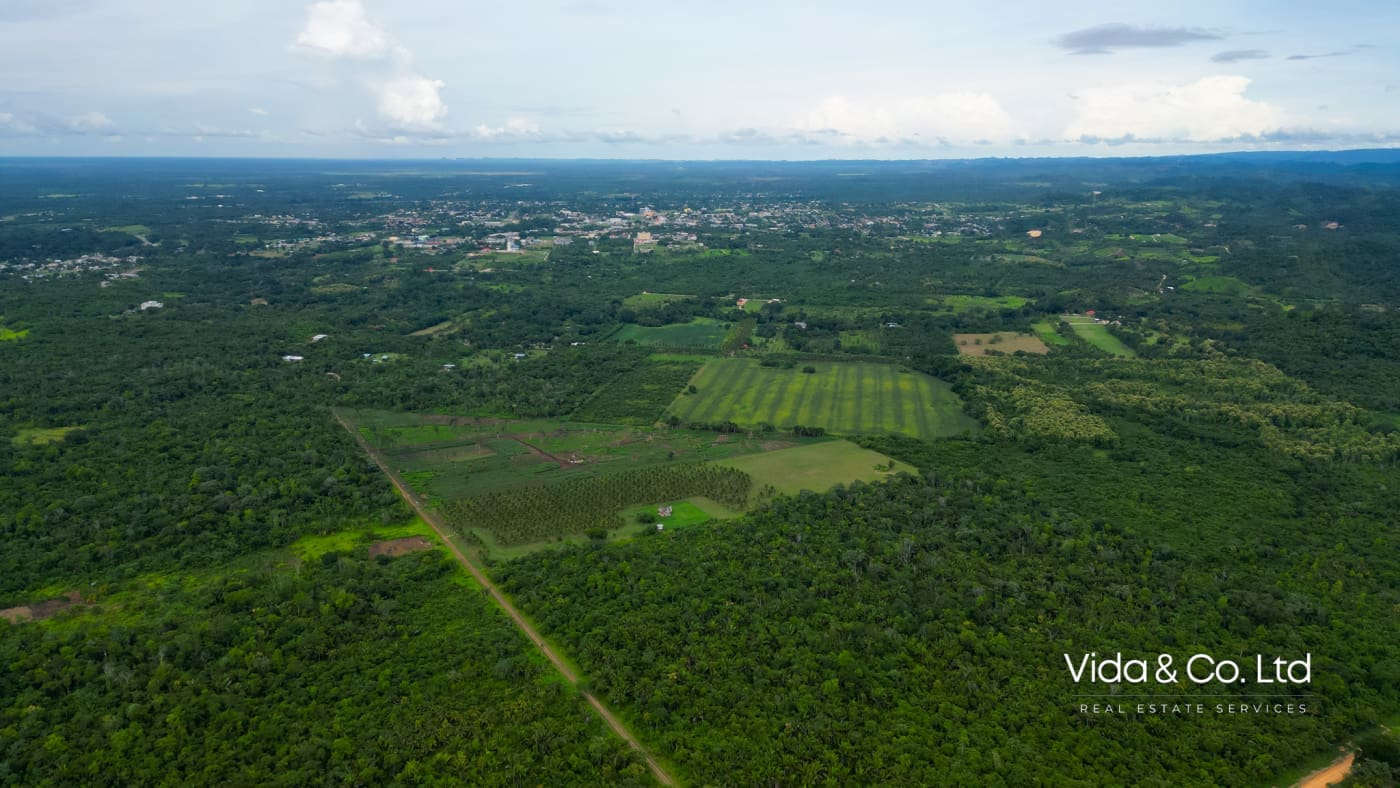 20 Acre Belmopan Farm for Sale