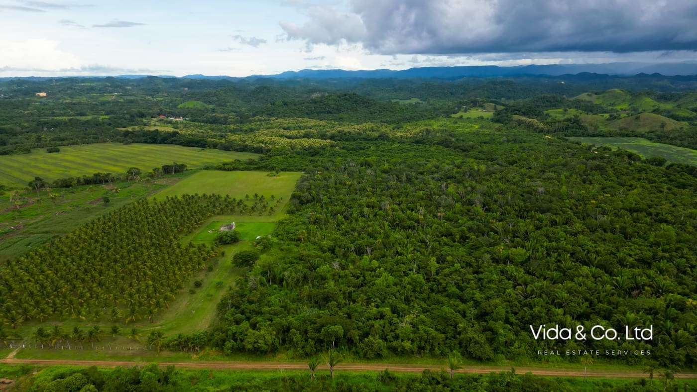 20 Acre Belmopan Farm for Sale