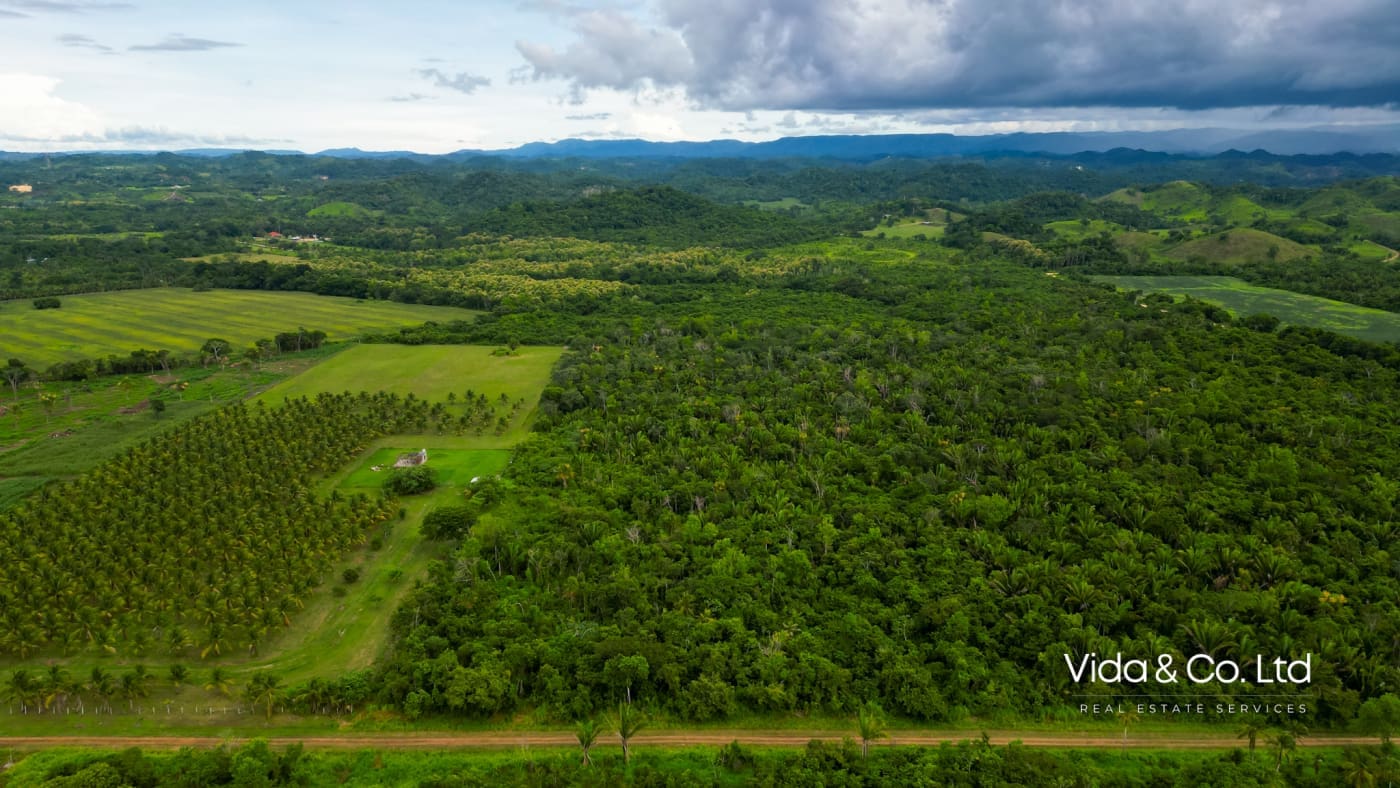 20 Acre Belmopan Farm for Sale